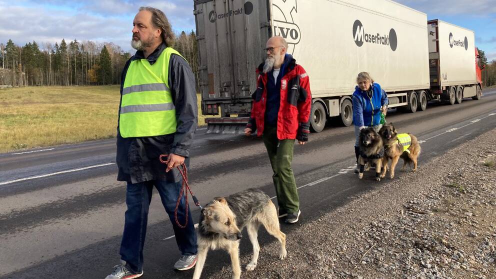 Tre personer och tre hundar går längs med en bilväg.