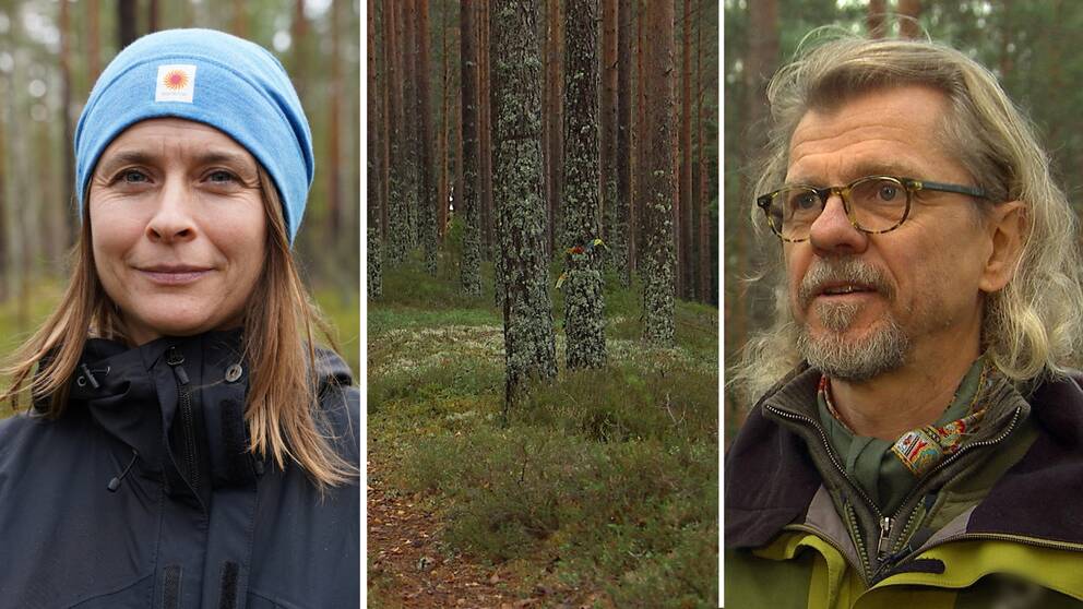 Henrik Frendin som har en fastighet vid Lidsbron i Sunnemo vill att Stora Enso ska stoppa en avverkning av skog i området. 