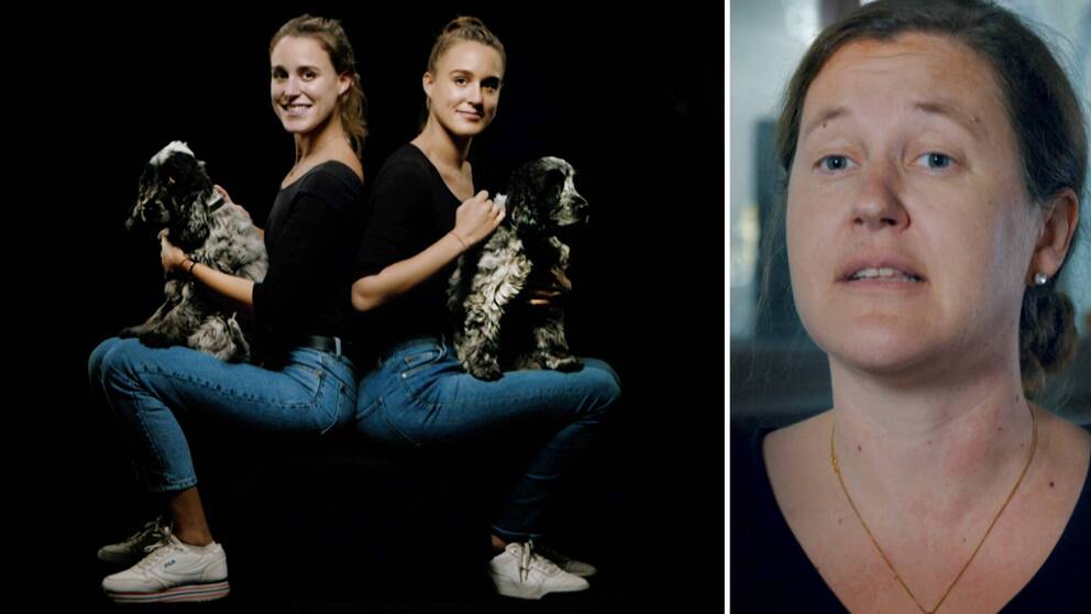 En bild på ett tvillingpar som sitter med varsin hund i knät, samt en bild på Tove Fall, professor i molekylär epidemiologi vid Uppsala universitet.