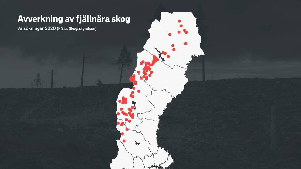 Karta över norra Sverige. På kartan finns ett antal röda pluppar längs fjällkedjan. Plupparna visar ansökningar om avverkning av fjällnära skog som kommit in till Skogsstyrelsen under 2020.