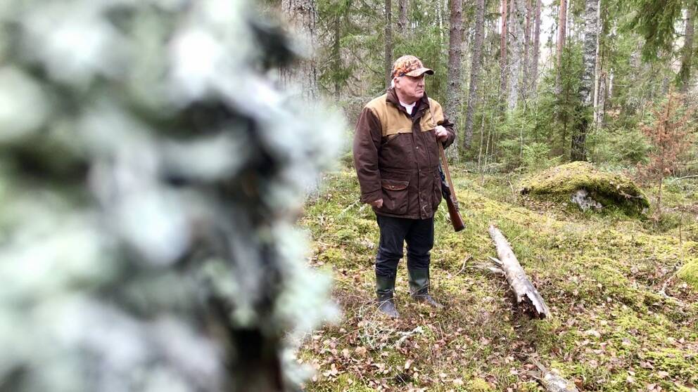 Hör Enar Norgren om hur det är att bo och jaga i området norr om Köping, där det även finns varg.