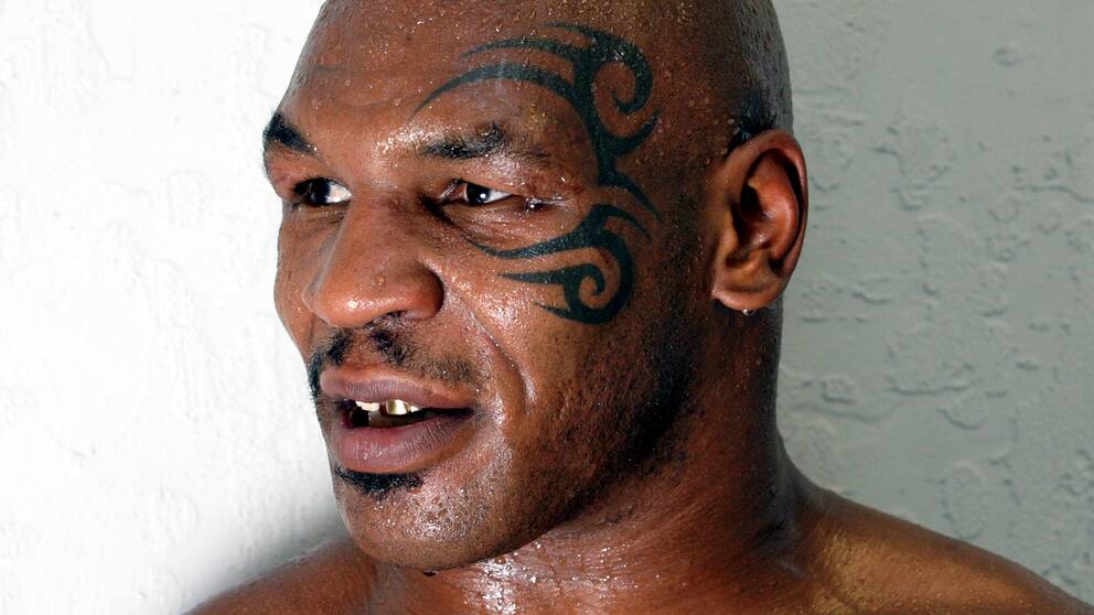 Mike Tyson, 2004.