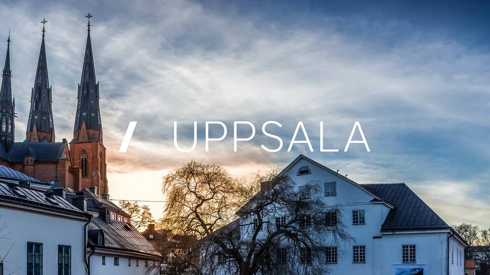 Lokala Nyheter Uppsala