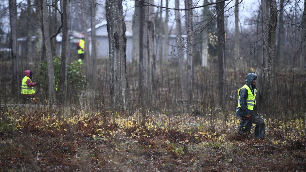 Frivilliga från Missing people söker i skogen efter en försvunnen person.