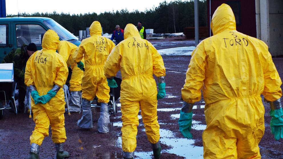 De närmaste veckorna väntas omkring 80 personer arbeta med att forsla bort de döda hönsen från stallarna.