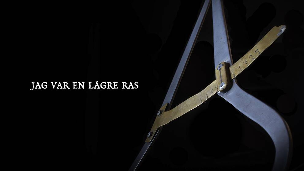 Jag var en lägre ras