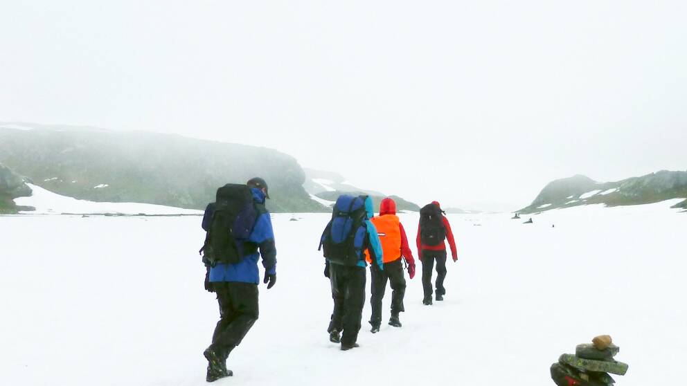 STF människor på vandring fjällen fjäll och vinter vandring på vintern
