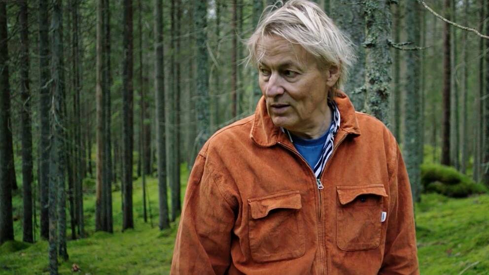 Lars Lerin