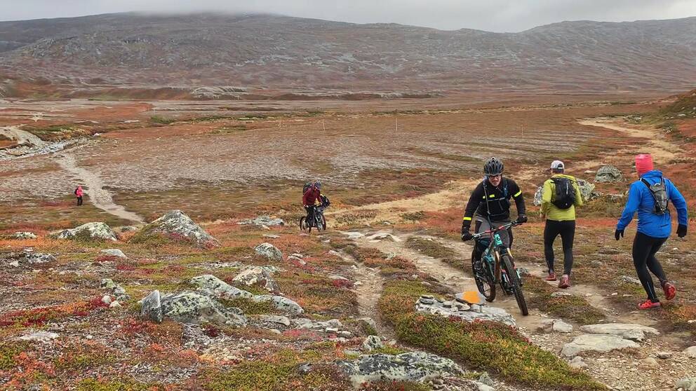 två löpare och två mountainbike-cyklister möts på en vandringsled på fjället, höstfärger i riset på marken