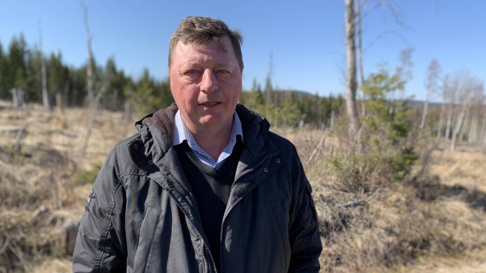 Politikern Ingemar Hellström (S) i Smedjebacken står framför skogen där en vindkraftspark ska byggas.