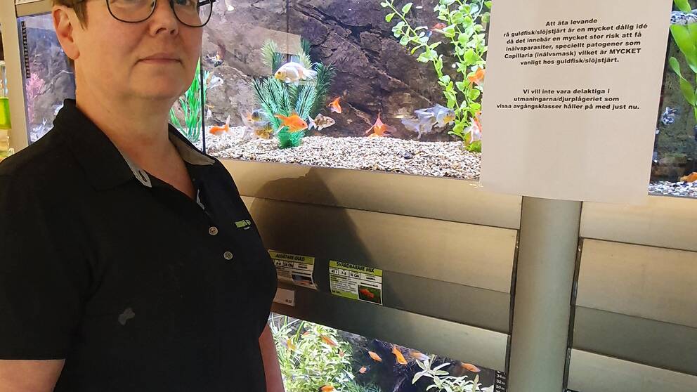 en kvinna står vid en vägg med akvarier i zoo-affär. en lapp med rubriken ”till studenter 2021” på väggen.