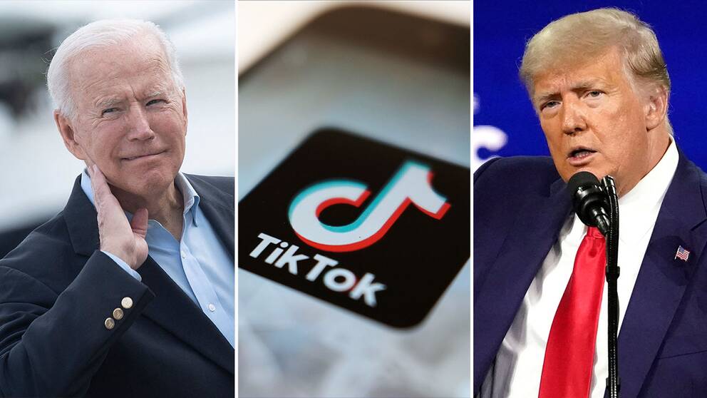 USA:s nuvarande president Joe Biden/Tiktok-loggan/ USA:s tidigare president Donald Trump.
