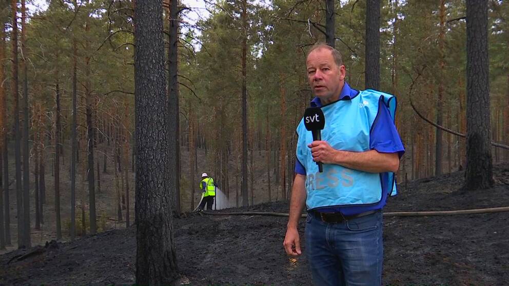 Sotade och brända träd efter en skogsbrand i Mora. Svt:s reporter står i blå väst och berättar. Bakom honom syns en brandman som spolar vatten på den varma marken.