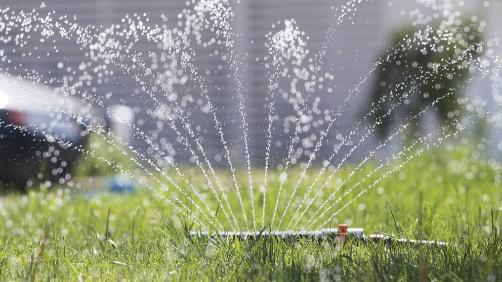 En vattenspridare sprutar vatten över en gräsmatta.