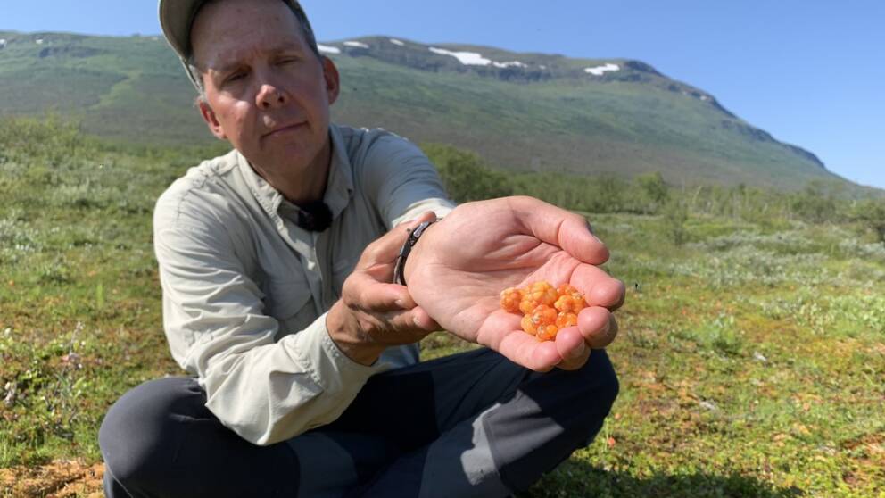 Keith Larson är forskare och evolutionär ekolog på Umeå universitet och även projektkoordinator för Climate Impacts Research Centre (CIRC). Han och har spenderat de senaste åren på en forskningsstation i Abisko nationalpark där han undervisar och gör fältarbete.