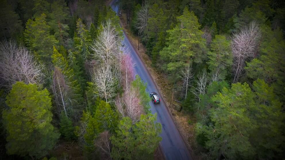 Totalt uppskattas den svenska skogen årligen dammsuga luften på 120 miljoner ton koldioxid.