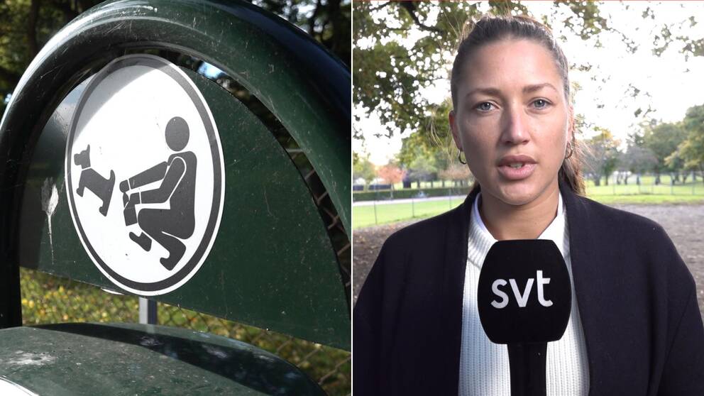 Bilden är montage. Till vänster syns en soptunna från hundgården och till höger syns SVT:s reporter Emma Hansson på plats i hundgården.