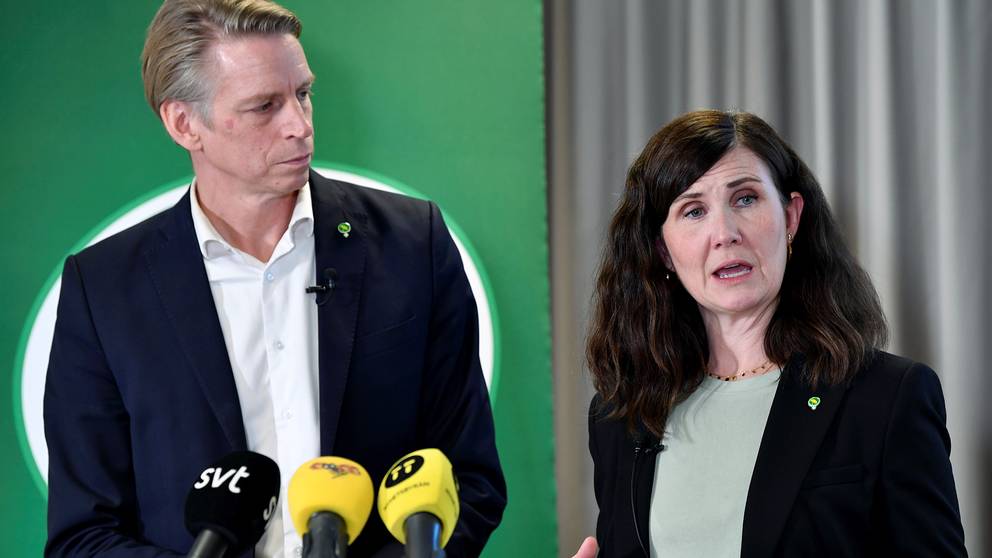 Vad Tycker Miljöpartiet Om Skatter
