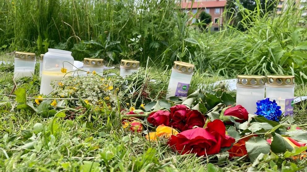 Forskare riktar kritik mot HVB-hem efter femåringens dödsfall 