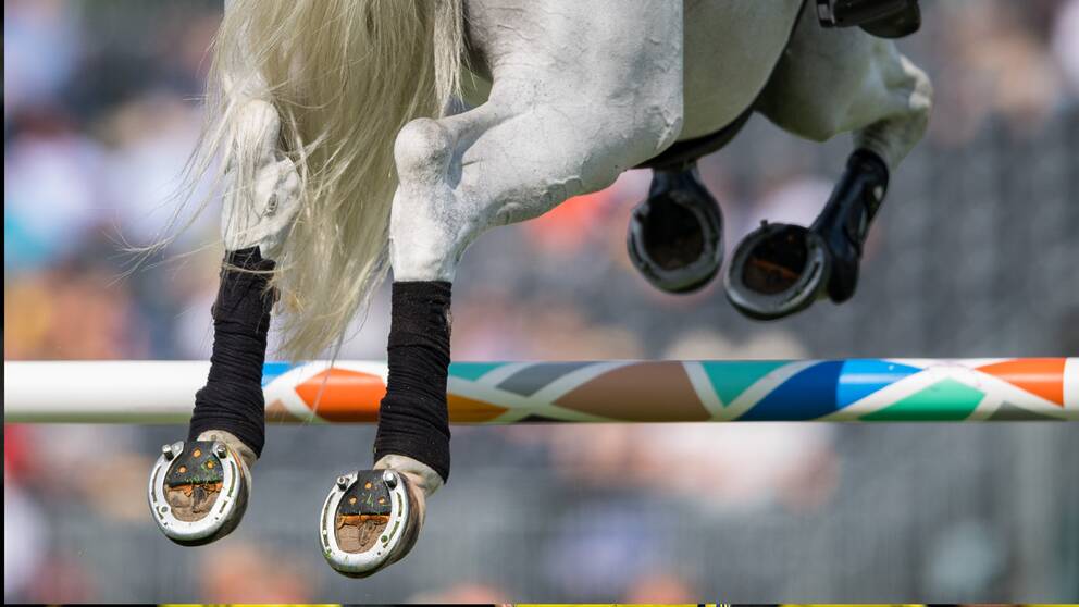 Svenska förbundet vill behålla hästhoppningen i modern femkamp. 