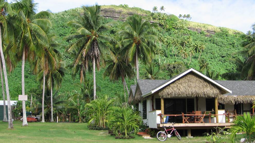 Bild på hus med palmer bredvid på Cooköarna.