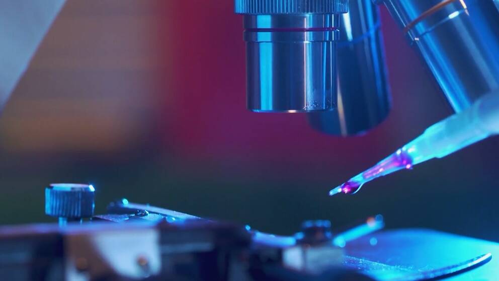 DNA-testning.
