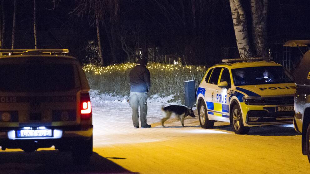 Polisbilar och hundförare.