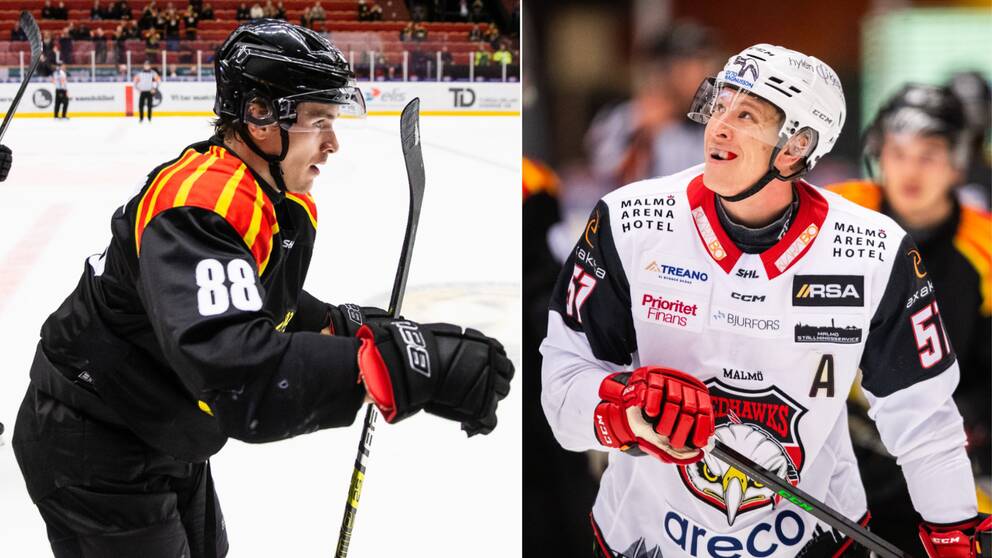 Dmytro Timashov imponerade för sitt Brynäs.