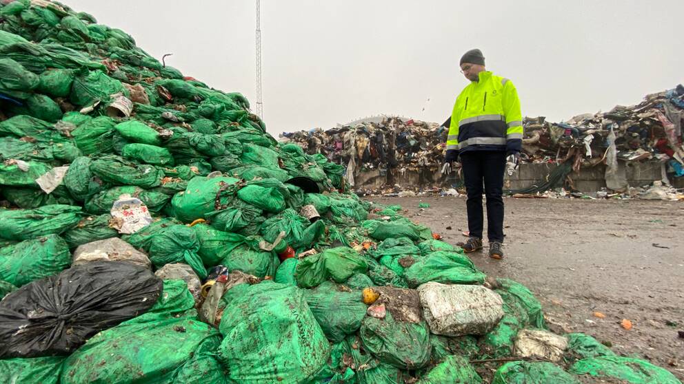 Efter nyår kommer högen med gröna påsar med matavfall att växa. Avtalet med biogastillverkaren som ska ta hand om matavfallet löper ut och upphandlingen om en ny aktör har dragit ut på tiden.