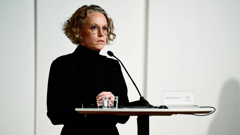 Britta Björkholm, avdelningschef, Folkhälsomyndigheten under onsdagens myndighetsgemensamma pressträff om coronaläget.