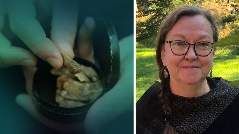 Hälsovinster för den som slutar med tobak – Maria Nilsson, professor i folkhälsovetenskap vid Umeå Universitet