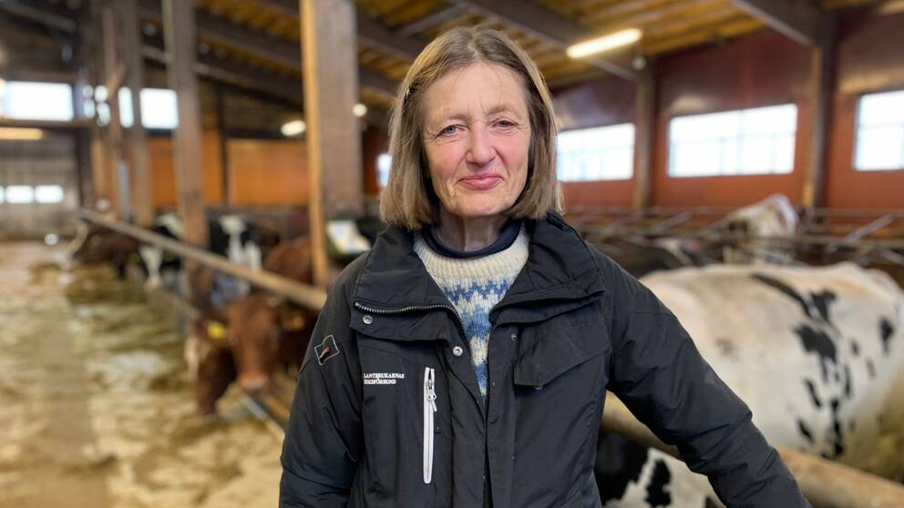 Anita Boma Daniels står i en ladugård