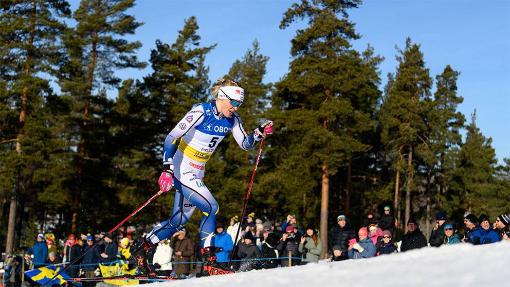السيارات
 البصيرة
 دعوى
  Frida Karlsson har gett upp inför distansloppet | SVT Sport