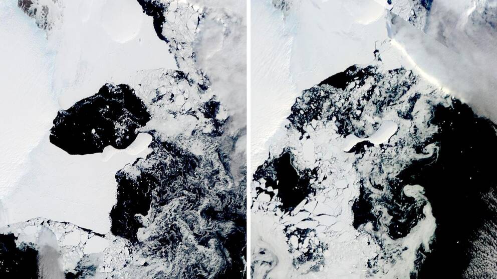Satellitbilder över Antarkis visar shelfisen Conger innan och efter kollaps.