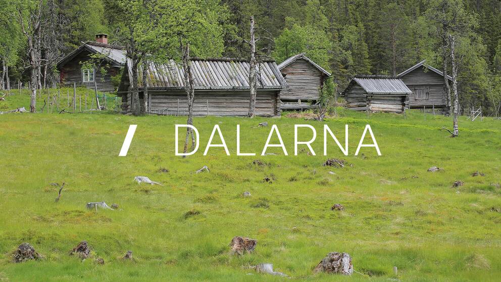 Lokala Nyheter Dalarna