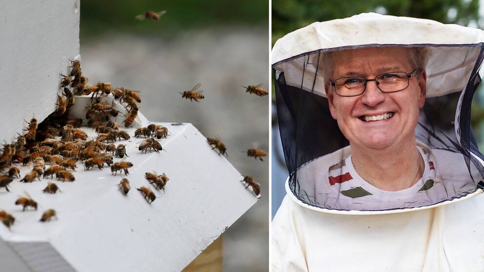 Pengarna från Jordbruksverket ska användas till att skapa ett rikstäckande nätverk av uppkopplade bikupor, säger Mikael Ekström, vd på Kalmarbaserade bolaget Beelab.