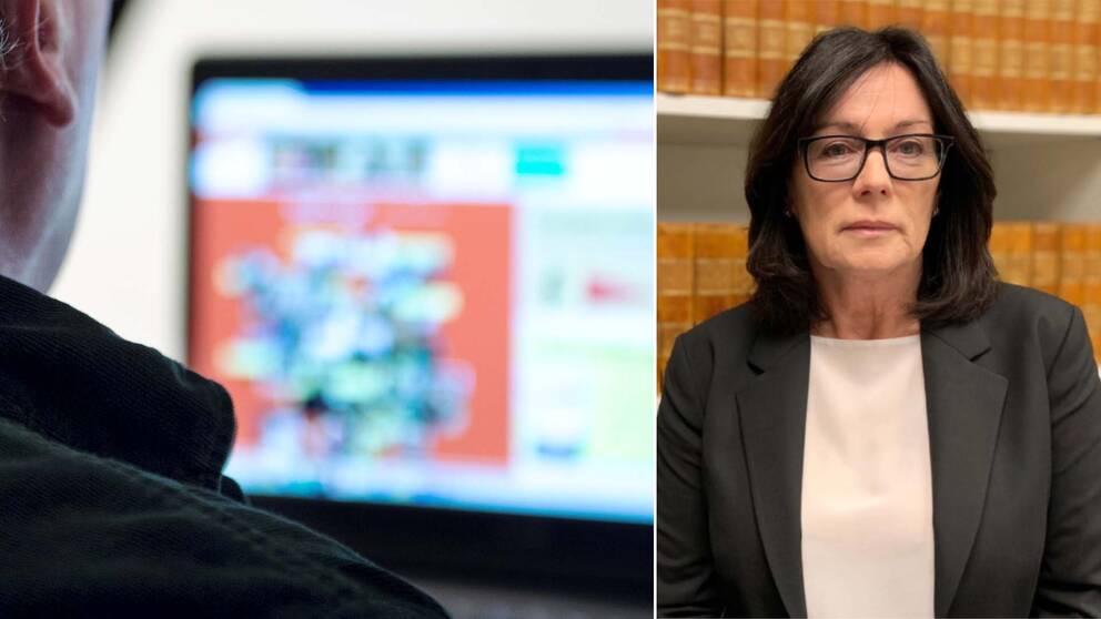 Tvådelad bild. 1. Genrebild på en man som sitter vid en dator och surfar. 2. Åklagaren Barbro Brännlund.