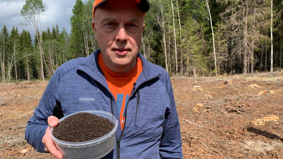 Skogskonsulenten Mikael Johansson håller upp en burk med fångade granbarkborrar
