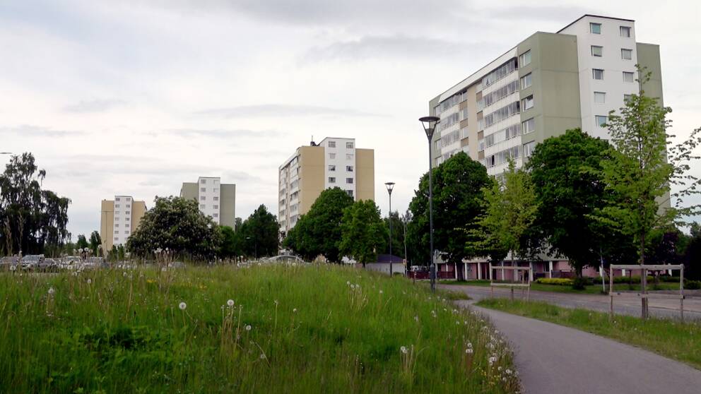 vy mot fyra stora lägenhets-hus, gräsmatta, cykelväg och träd framför