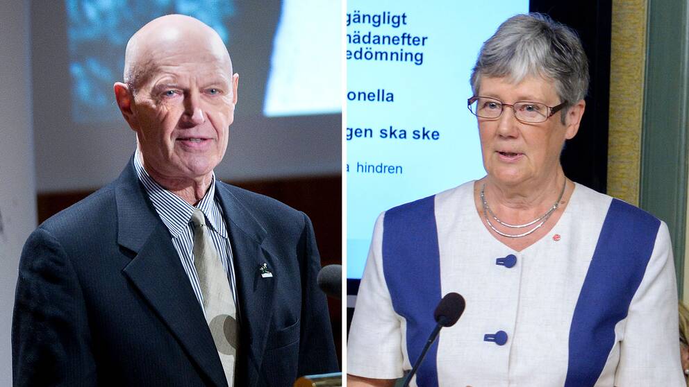 tidigare biståndsministern Pierre Schori (S) och Lena Hjelm-Wallén, före detta utrikesminister (S).