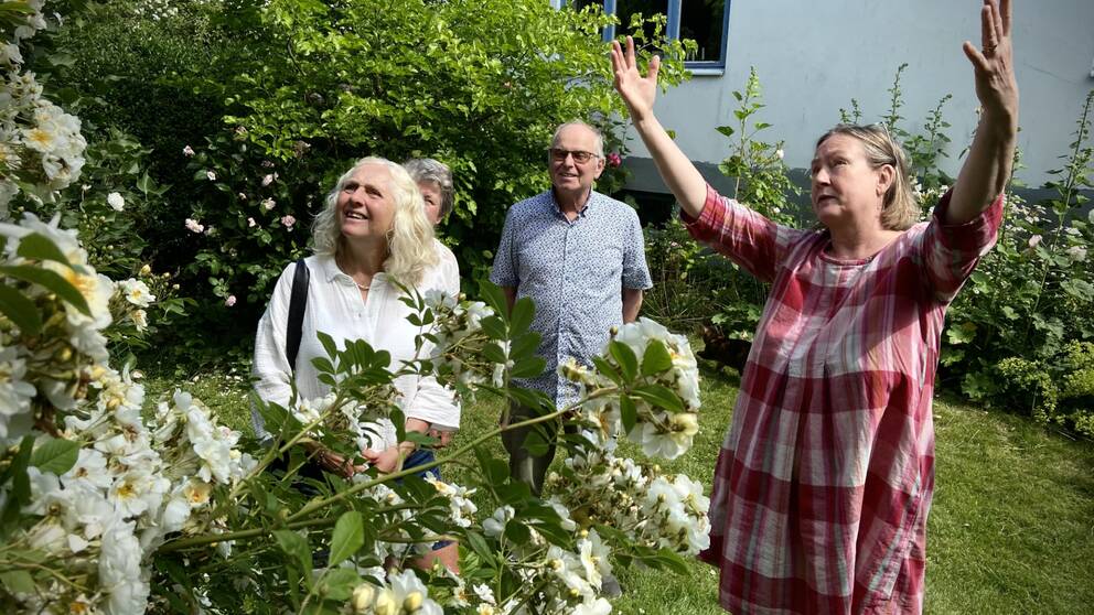 Anna Gunnert i Sjöbo är en av de 770 trädgårdsägare som deltar i arrangemanget Tusen Trädgårdar.