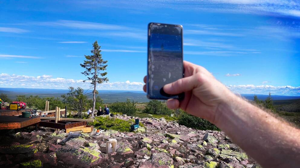 En besökare använder sin mobiltelefon för att ta bild på Old Tjikko.