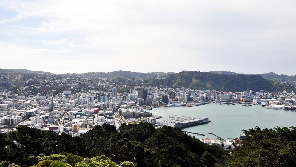 Vy över Wellington, Nya Zeeland