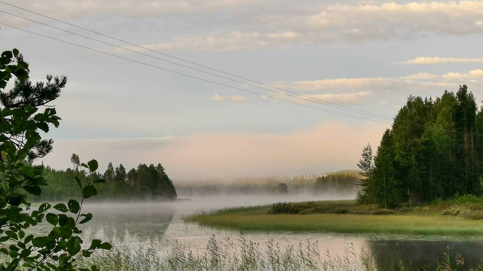 Östansjö i Vinlidens kommun, Lappland, tidig morgon den 13 augusti 2022.