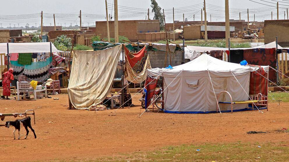 Uppsatta tält i Al Managil där människor som förlorat sina hem kan ta skydd.