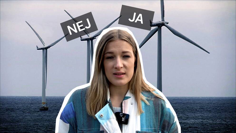 Ett kollage med vindkraftverk i bakgrunden, en inklippt bild på en kvinna och två plattor där det står ja och nej.