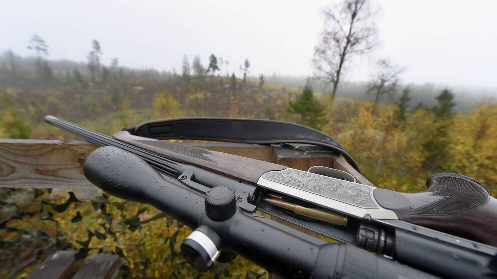 Ett jaktgevär ligger på relingen på ett jakttorn som blickar utöver en skogsmark.