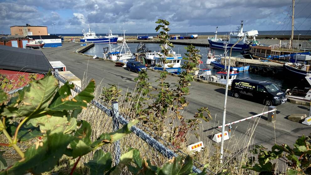 Hamnen i Simrishamn är mindre än både Ystad och Rönne hamnar, men kan mycket väl komma till användning om gasledningarna ska repareras.