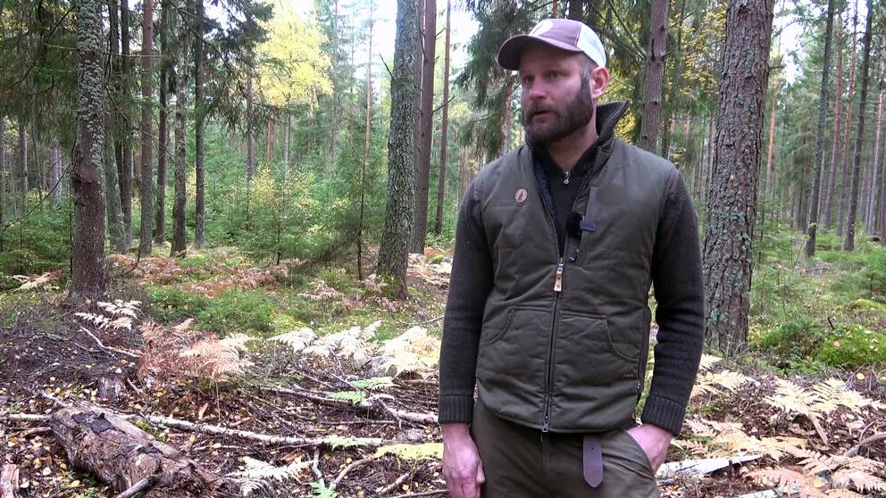 Johan Stedt, på Jägareförbundet i skogen