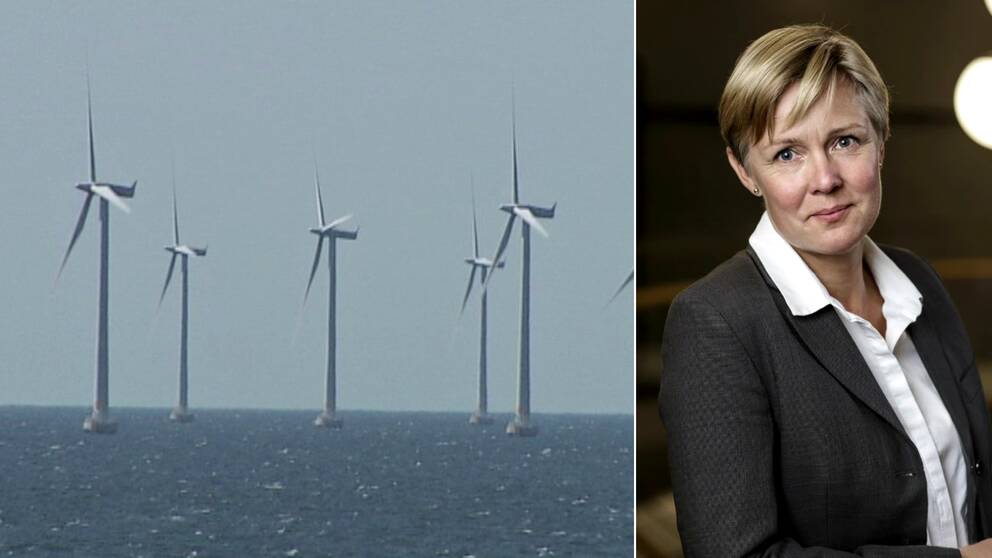 Tvådelad bild. Fem vindsnurror syns på håll ute till havs. Porträtt av Eva Vitell som ser rakt in i kameran.
